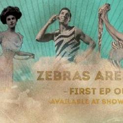 Reclame EP Zebras are Timeless