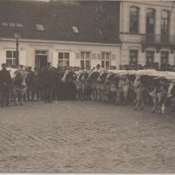 Veekeuring op de Markt van Deinze