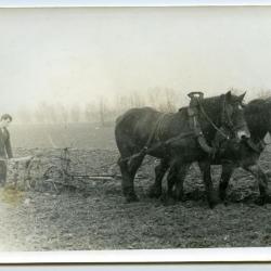 Laatste keer ploegen met paard en kar