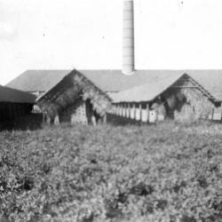 Laaghuizen voor ringoven te Zevergem