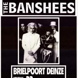 Siouxie and the Banshees in de Brielpoort.