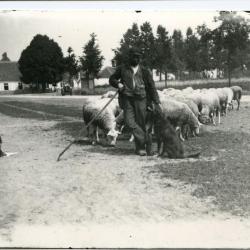 Herder Petrus De Paepe