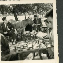 Een zonnige namiddag in de tuin bij de familie Gevaert-Minne