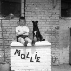Molly, bekende Vinktse hond