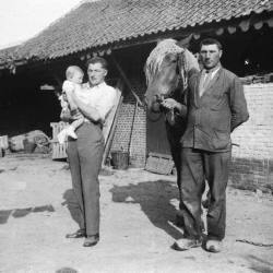 Familie D'Haenens en werkpaard