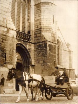 Herman van Nazareth arriveert per pony en ezel in Deinze