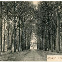 Rode Beukendreef aan kasteel Deurle